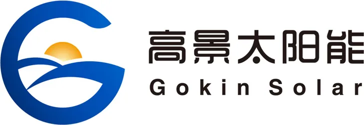 Gokin